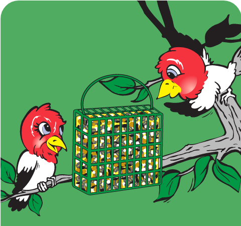 Suet Feeders Accessories Stat 2