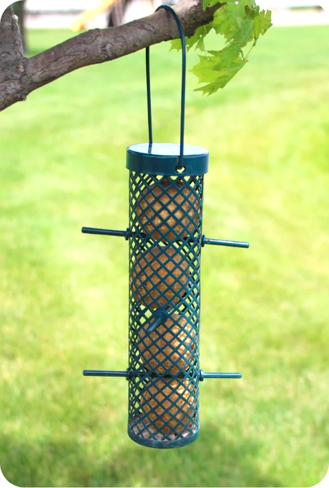Suet Feeders Accessories 1