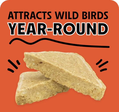 No Melt Suet Cakes Stat 1
