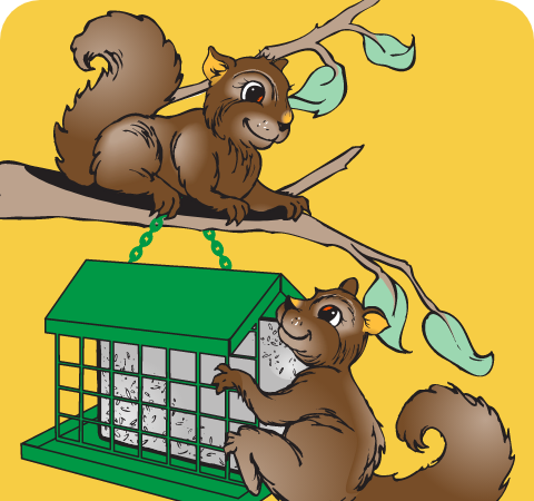 Squirrel Feeding Stat 1