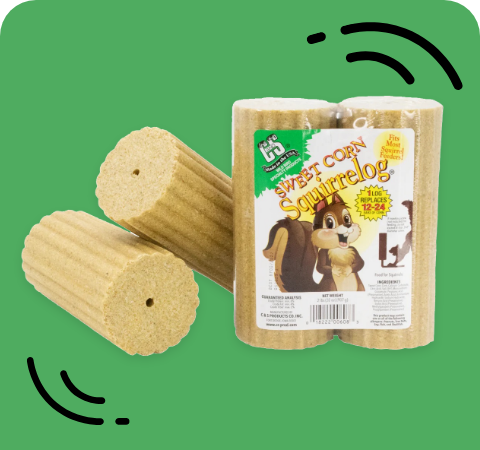 Suet Logs Stat 2