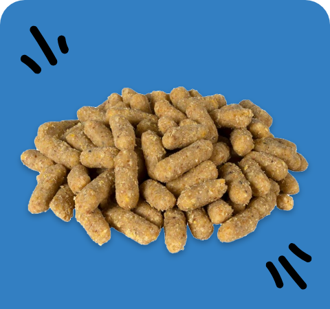 Suet Nuggets Stat 3