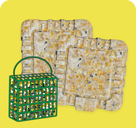 Suet Treats Stat 1