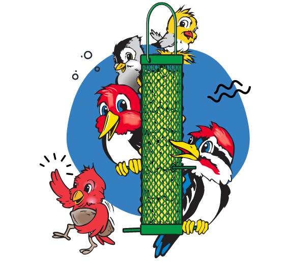 animated birds