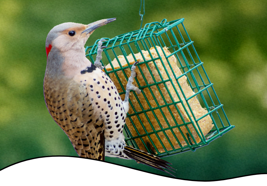 Header-Beginners guide Mobile