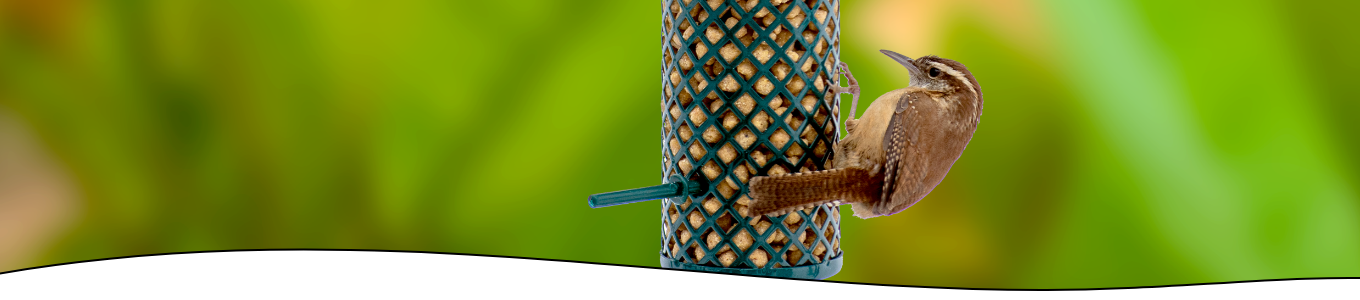 Header-FAQs