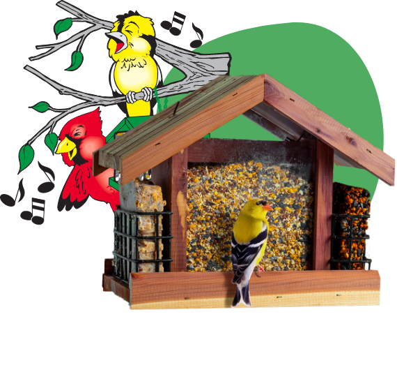 bird feeder with cartoon birds