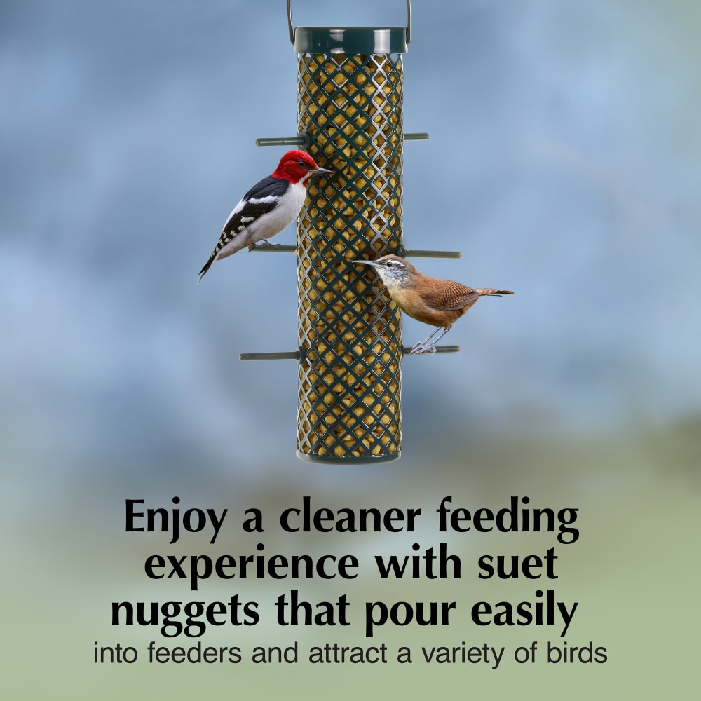 Enjoy a cleaner feeding experience with suet nuggets that pour easily