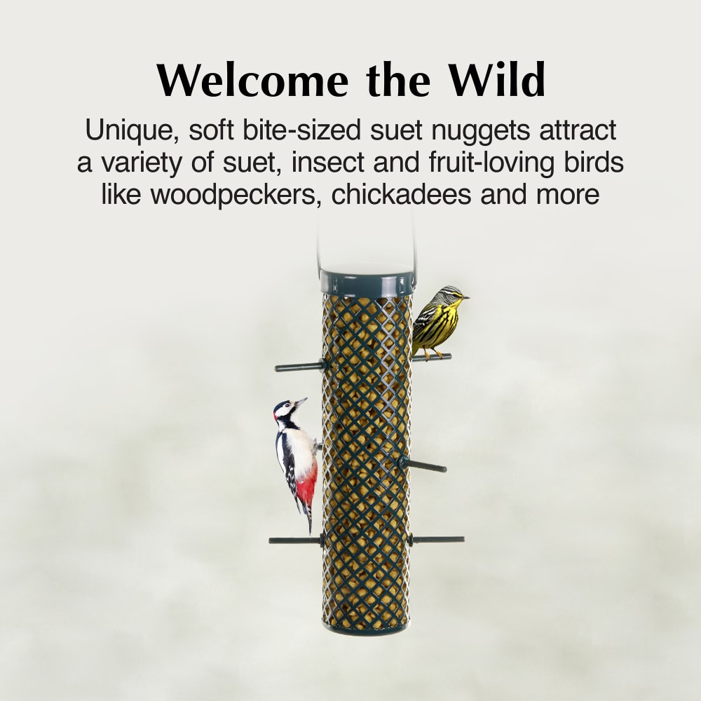 Unique, soft bite-sized suet nuggets attract a variety of fruit-eating birds
