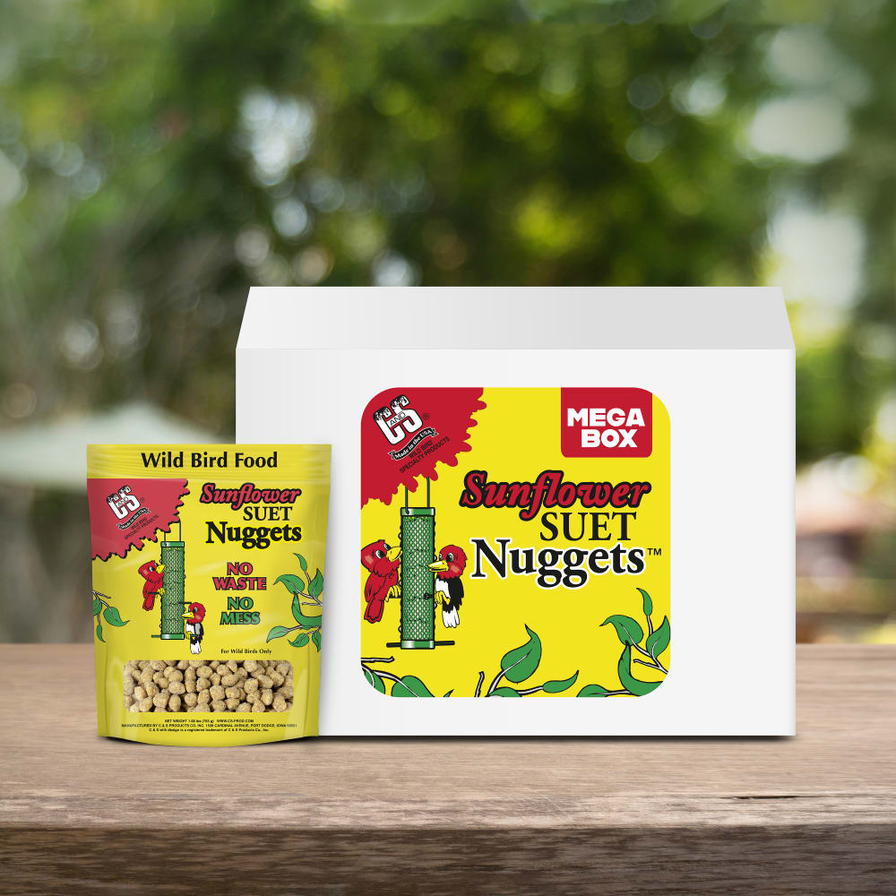 Up close shot of Sunflower Suet Nuggets