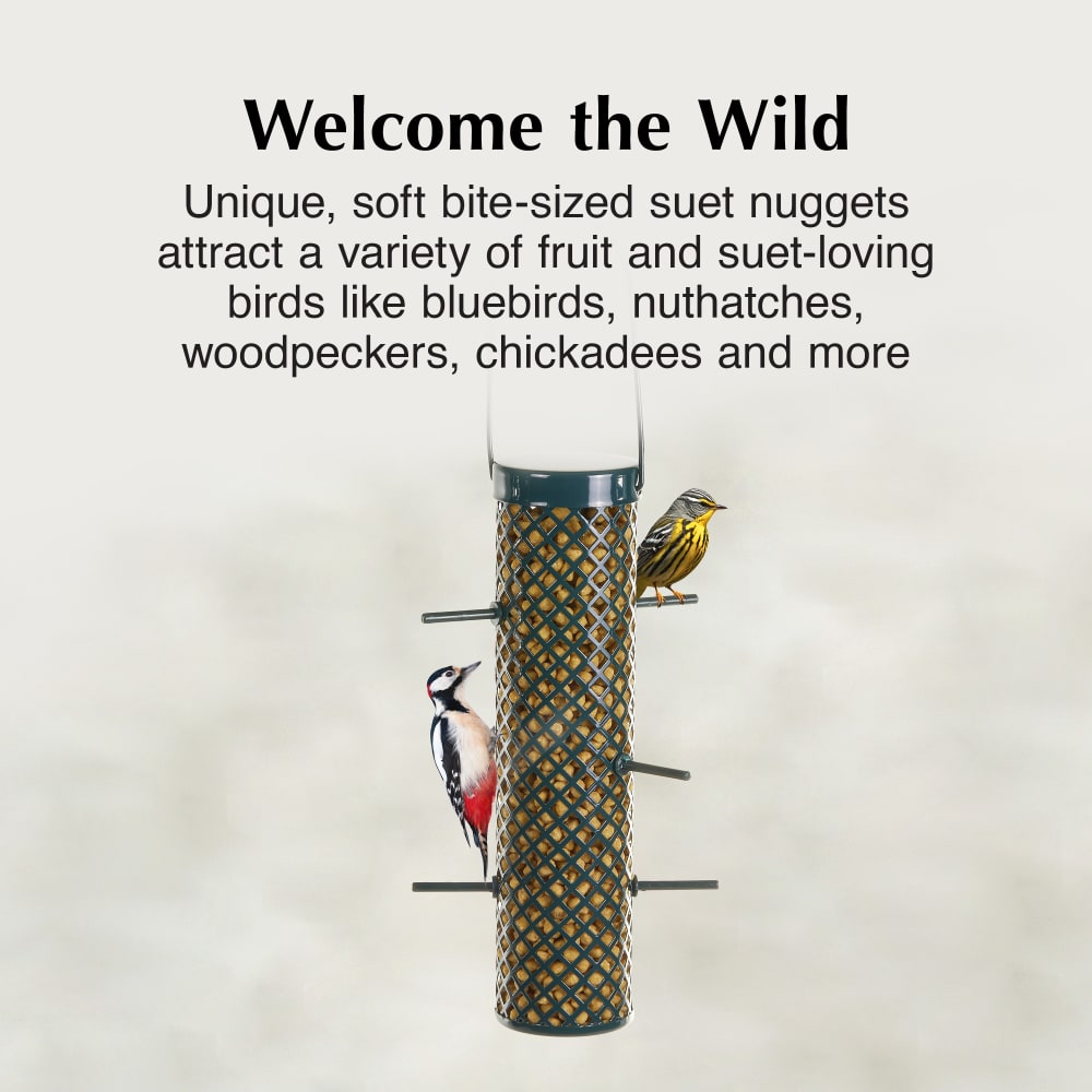 Unique, soft bite-sized suet nuggets attract a variety of fruit-eating birds