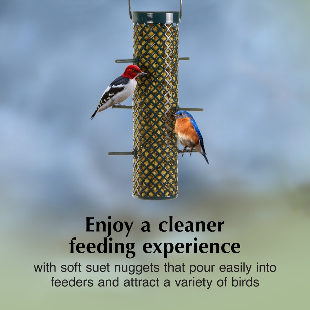 Enjoy a cleaner feeding experience with soft suet nuggets