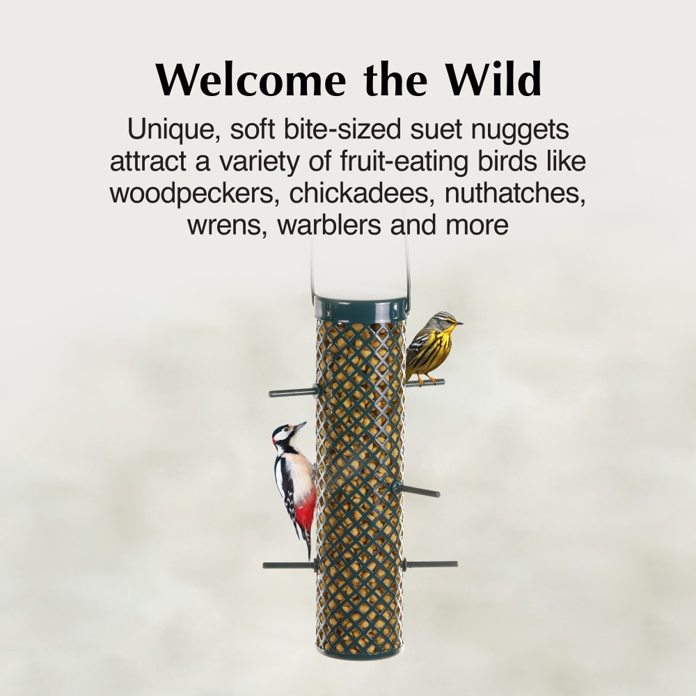 Unique, soft bite-sized suet nuggets attract a variety of fruit-eating birds