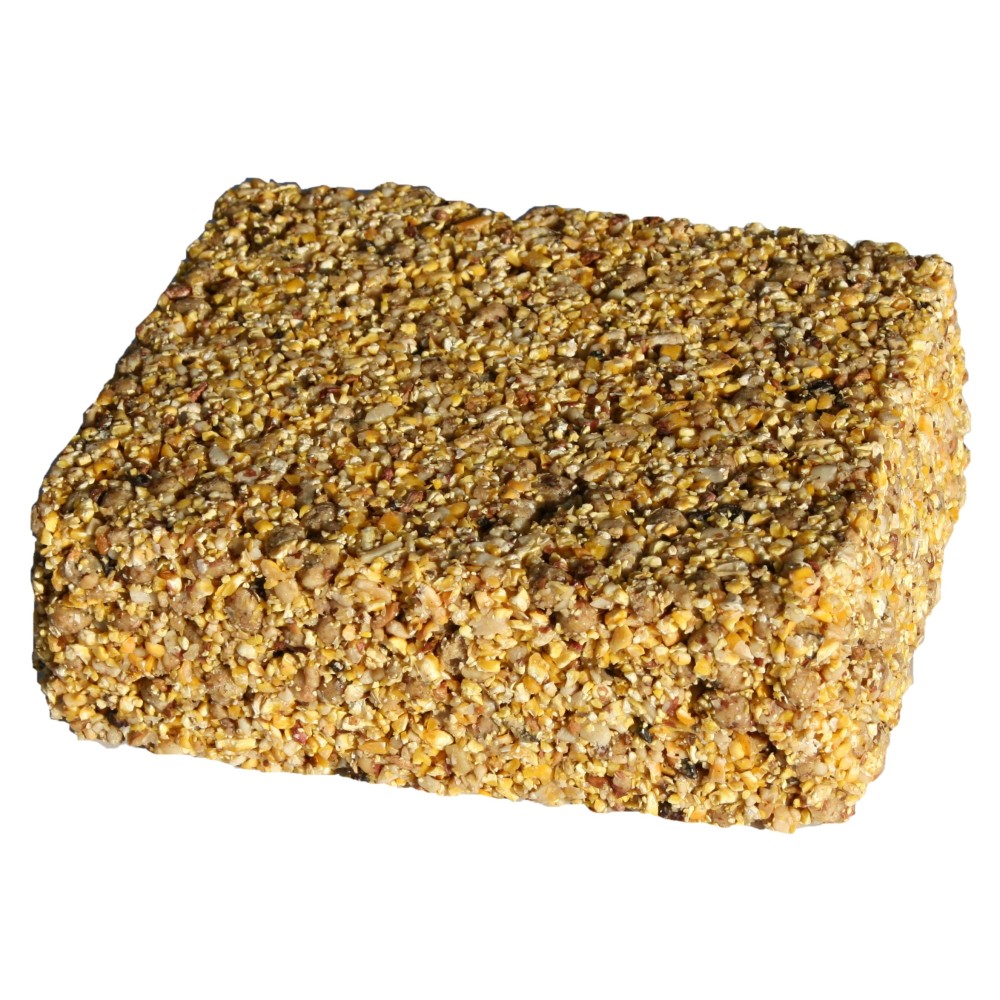 ingred-cs206-snak-002