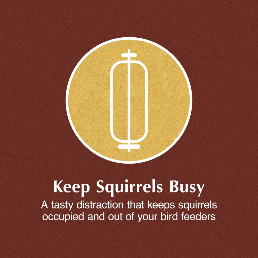 Keeps squirrels busy