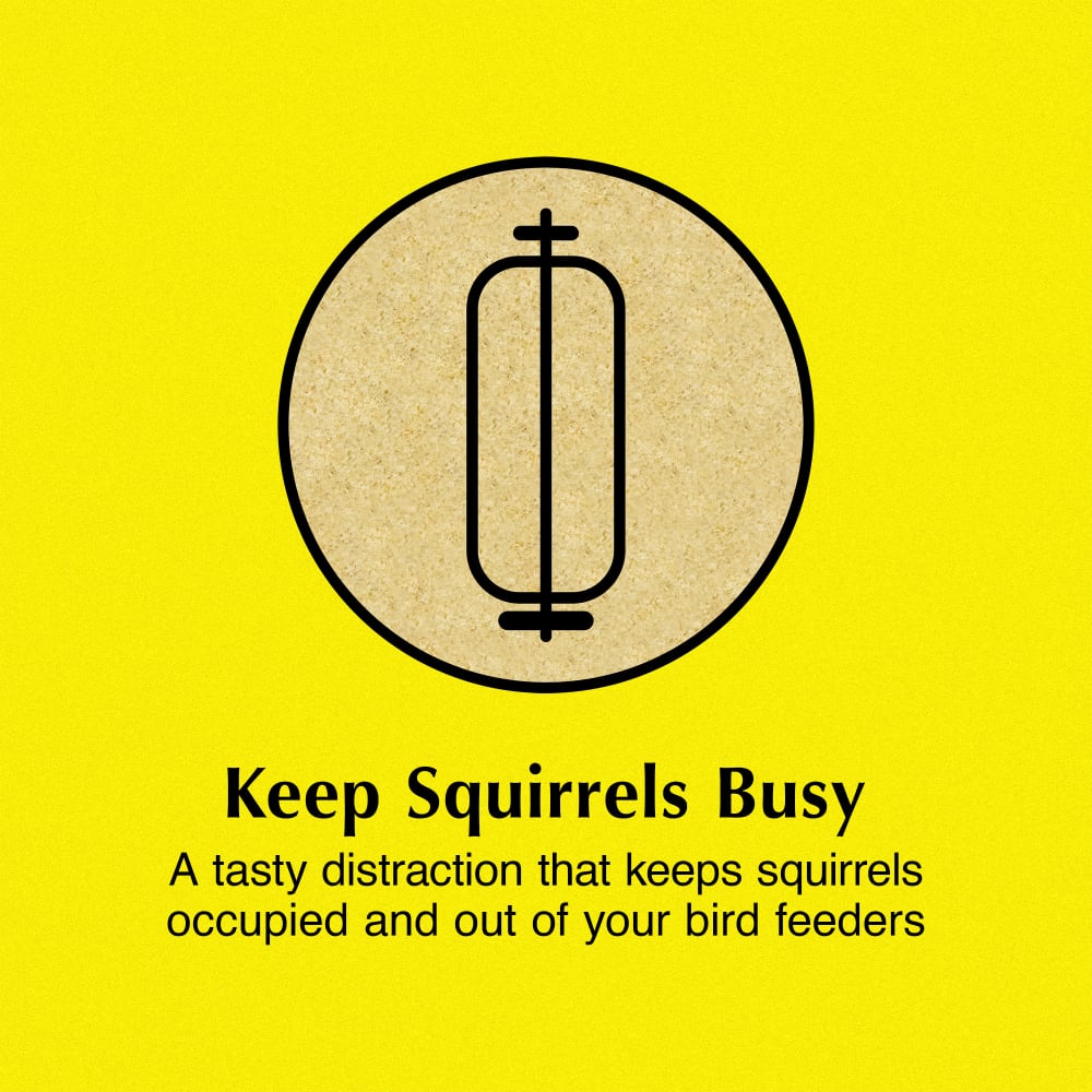 Keeps squirrels busy