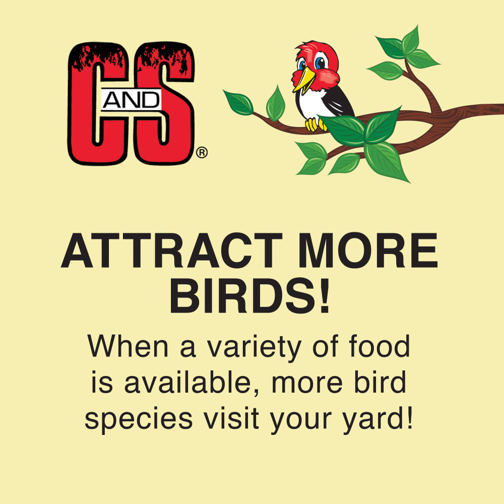 cs-suet-attractbirds