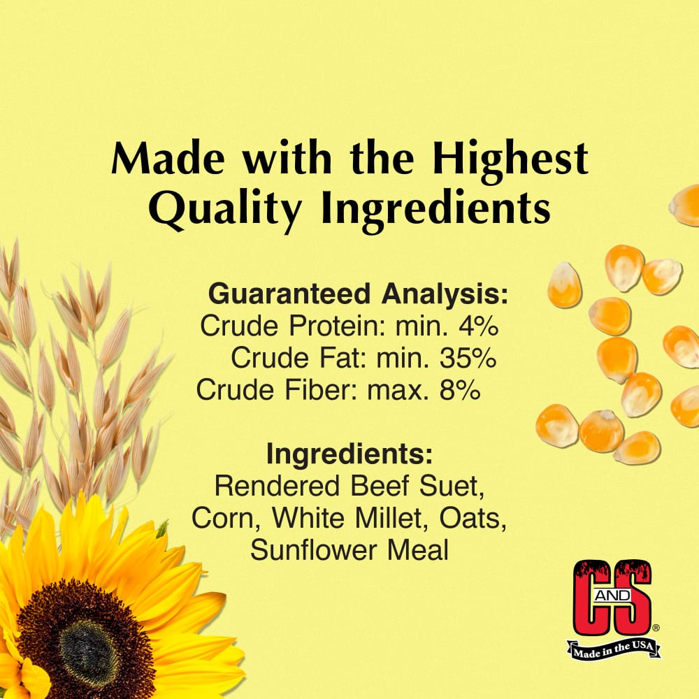 highsuet-infographic01