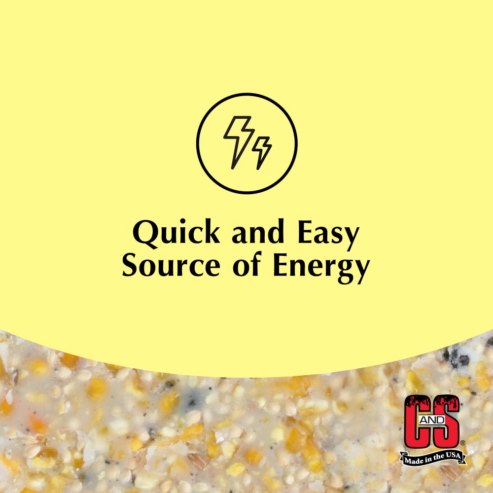 highsuet-infographic04