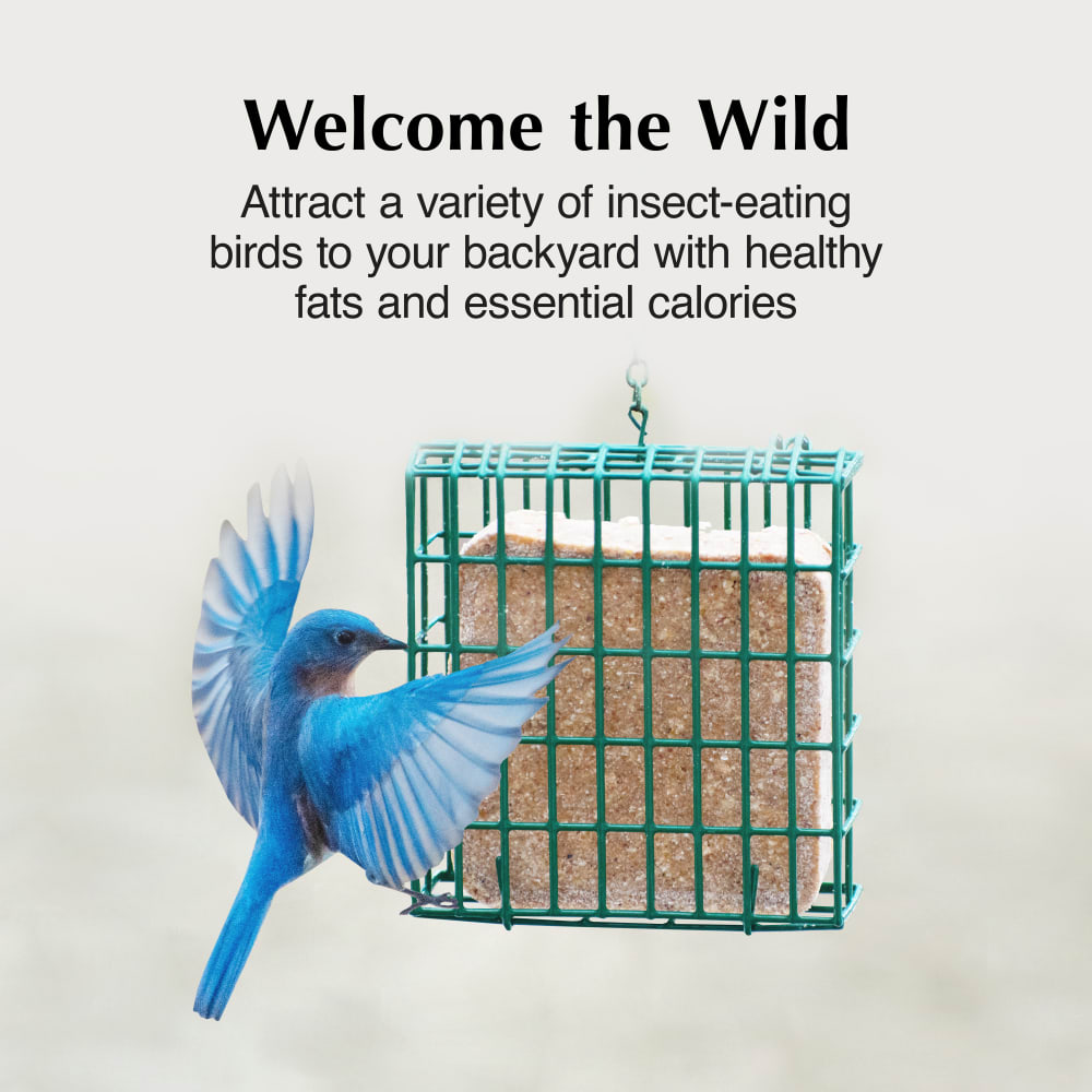 Attract a variety of insect-eating birds to your backyard