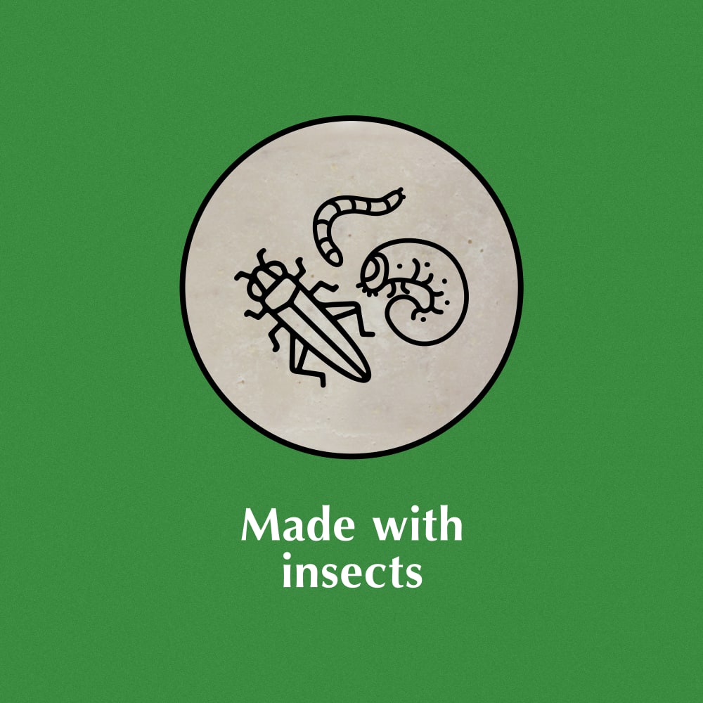 Made with insects