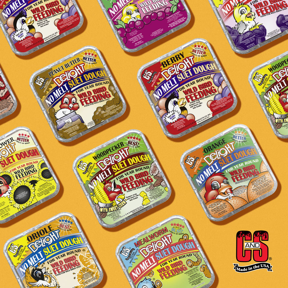 Image of several varieties of suet dough displayed on an orange background