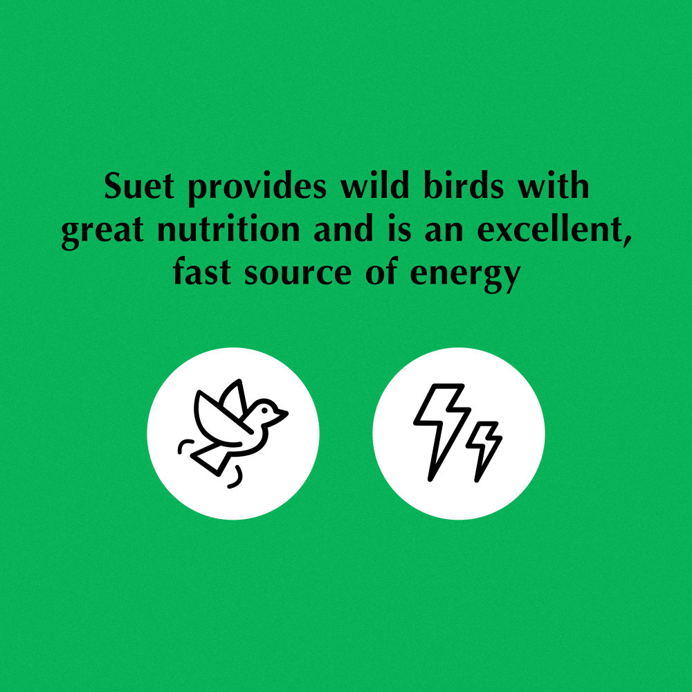 Suet provides wild birds with great nutrition and is an excellent, fast source of energy.