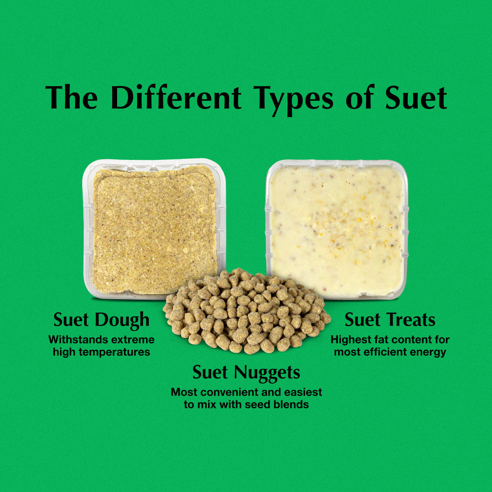 Suet is available in three varieties which are suet dough, suet nuggets and suet treats