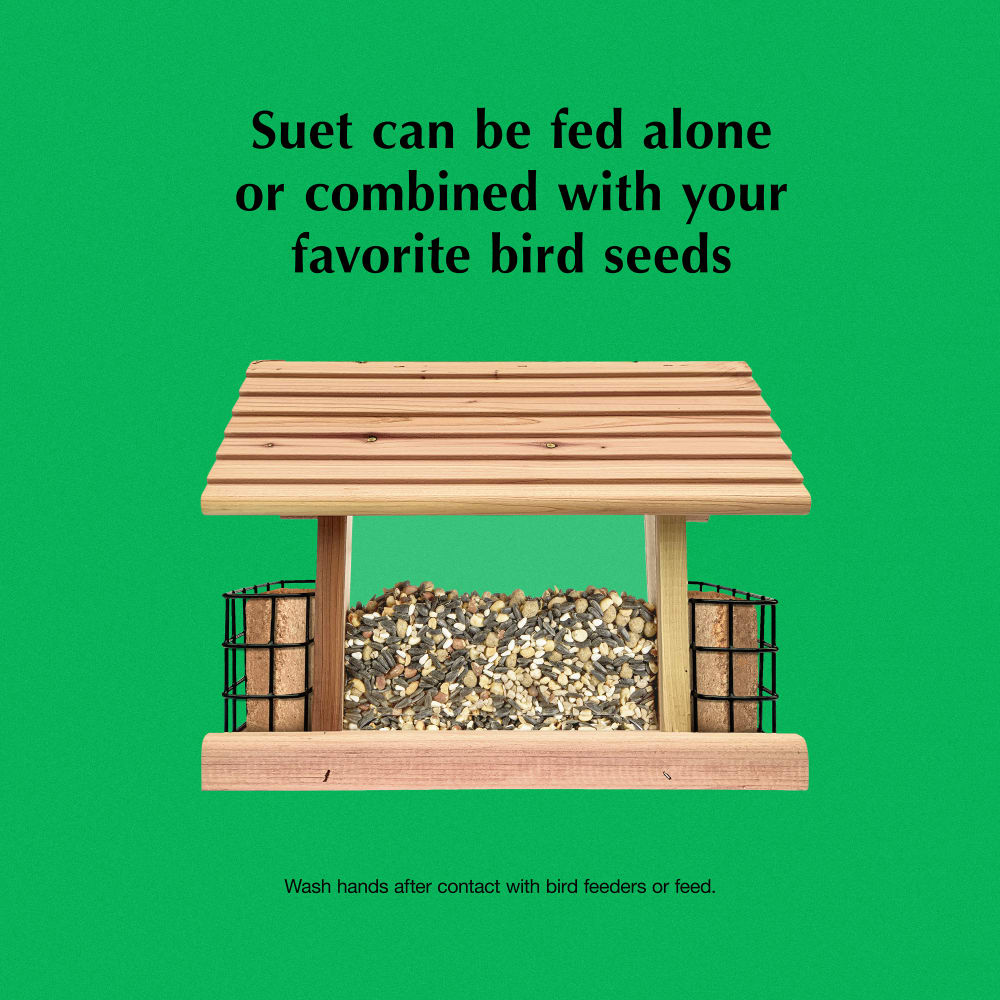 Suet can be fed alone or combined with your favorite bird seeds