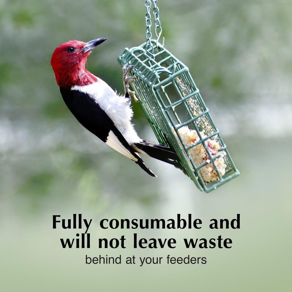 Fully consumable and will not leave waste behind at your feeders