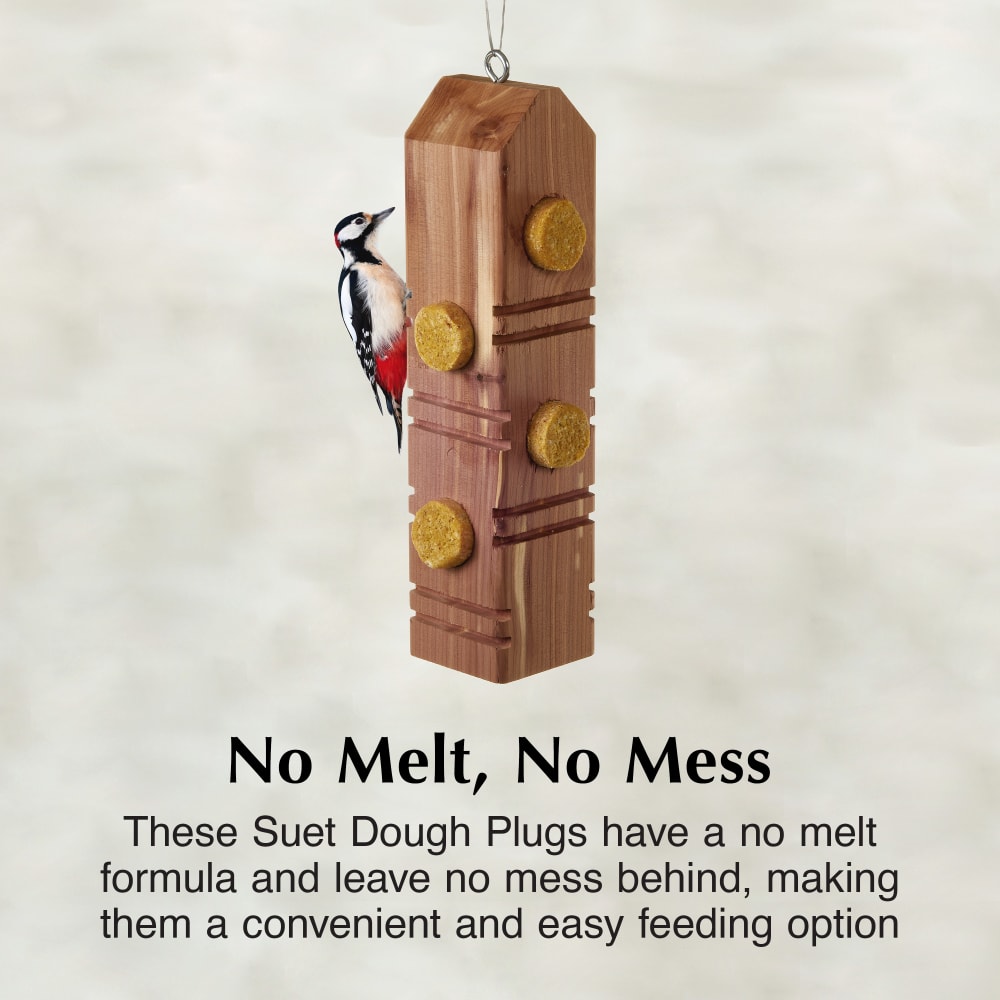 Suet dough plugs have a no melt formula and leave no mess behind