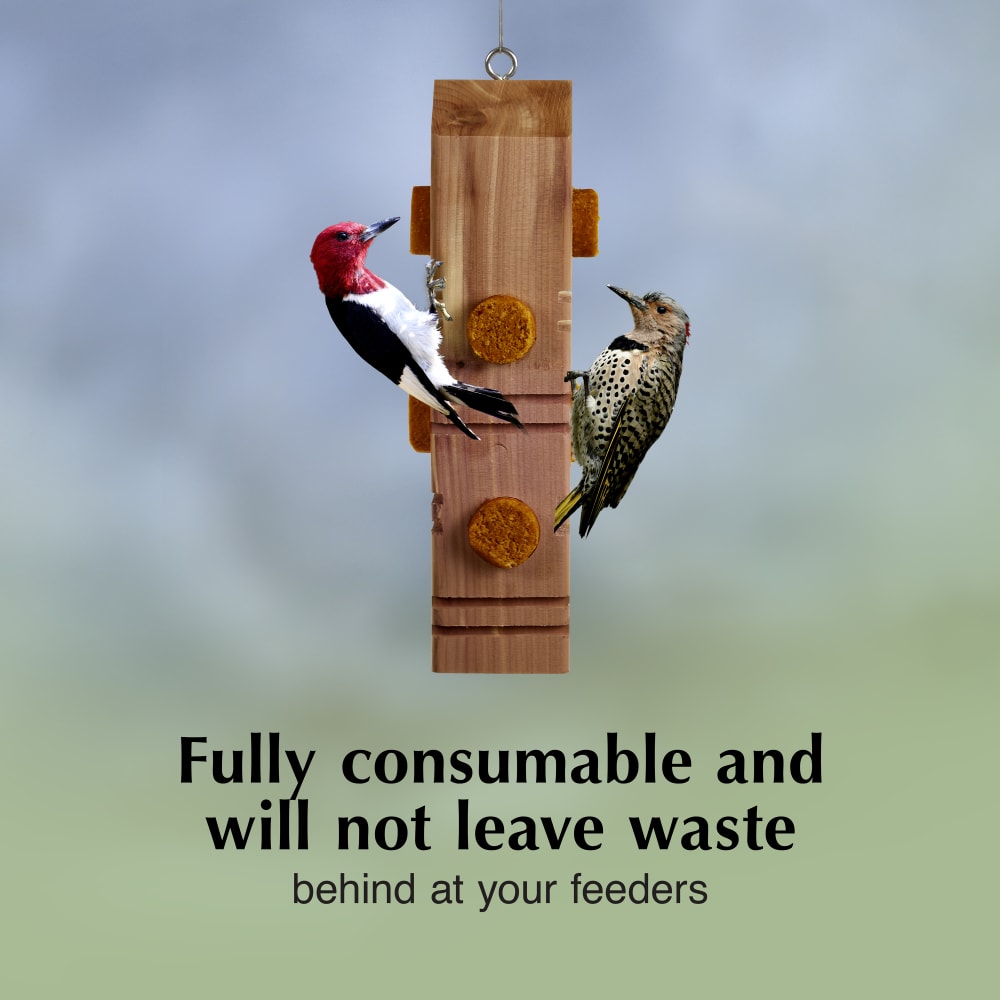 Suet dough plugs have a no melt formula and leave no mess behind