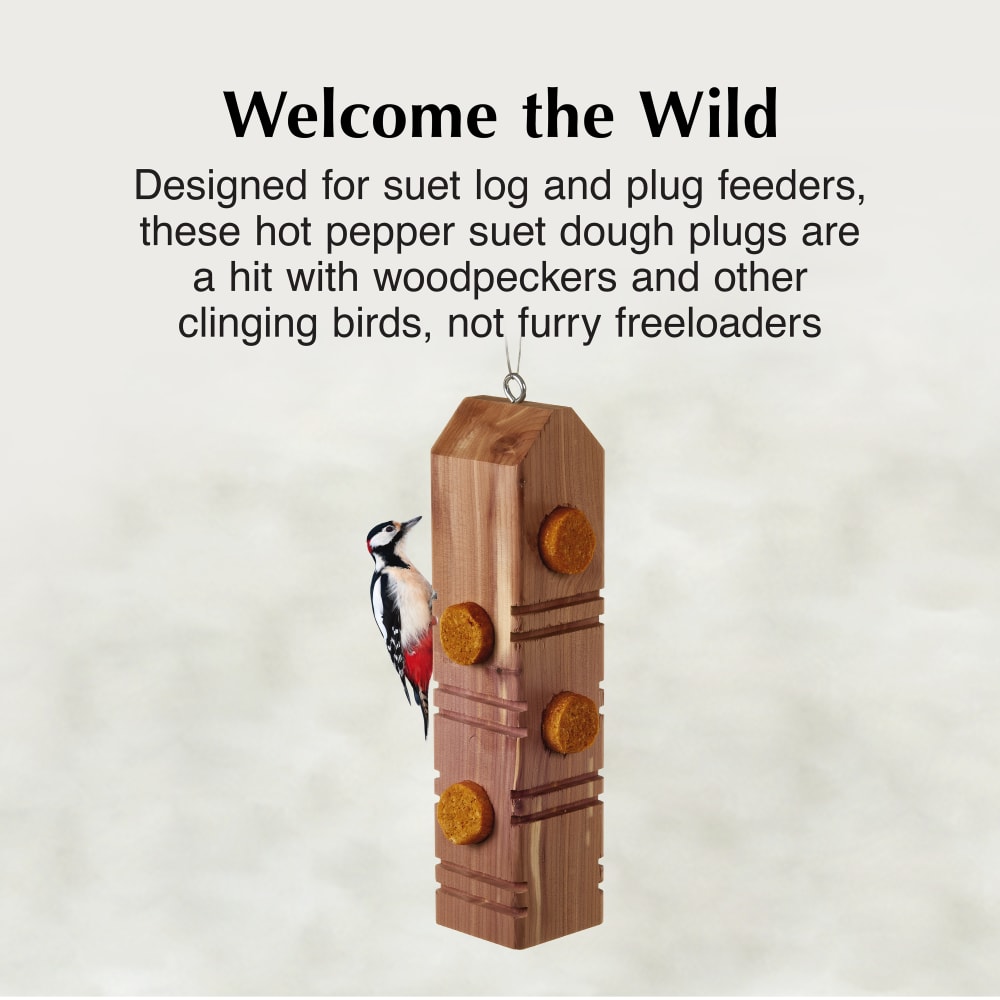 Designed for use with suet log and plug feeders, these plugs are a favorite among woodpeckers