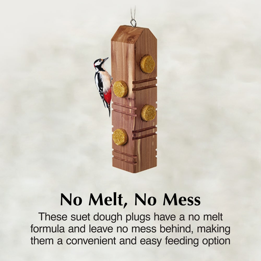 Suet dough plugs have a no melt formula and leave no mess behind
