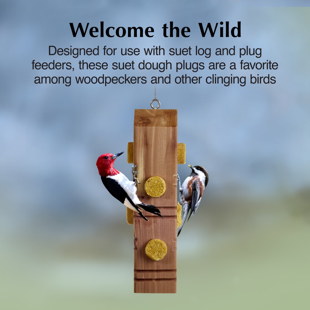 Designed for use with suet log and plug feeders, these plugs are a favorite among woodpeckers