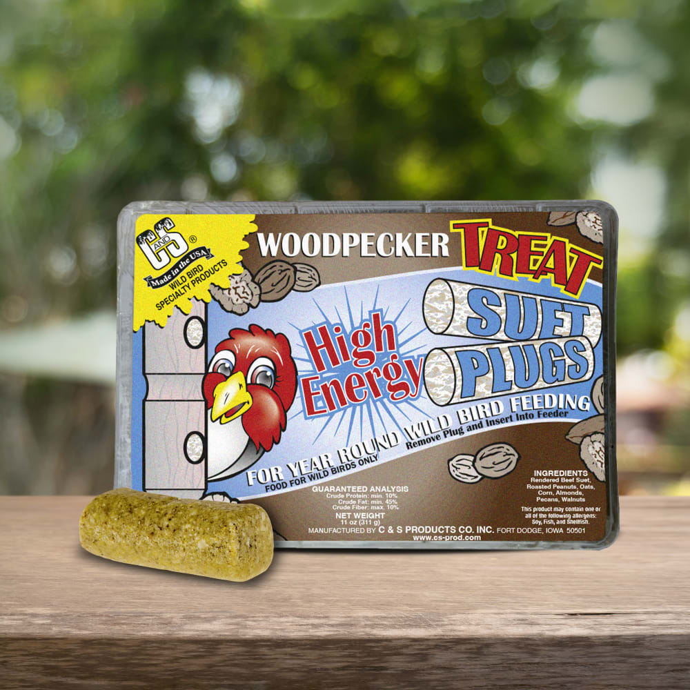 Up close shot of C&S Woodpecker Treat Suet Plugs on table
