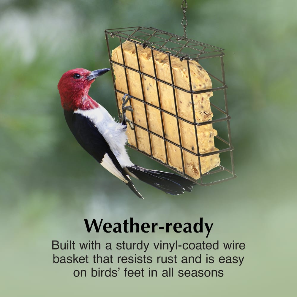 Built with a sturdy vinyl-coated wire basket that resists rust