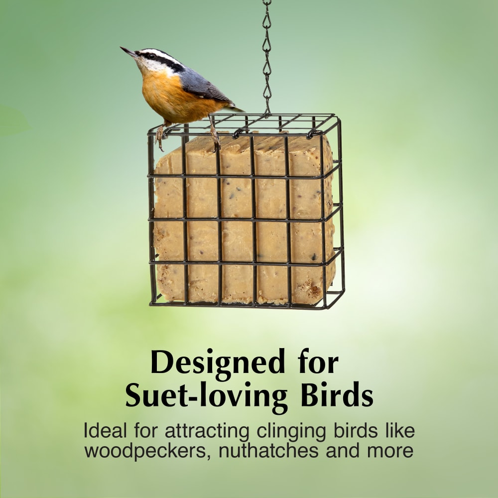 Designed for Suet-loving birds