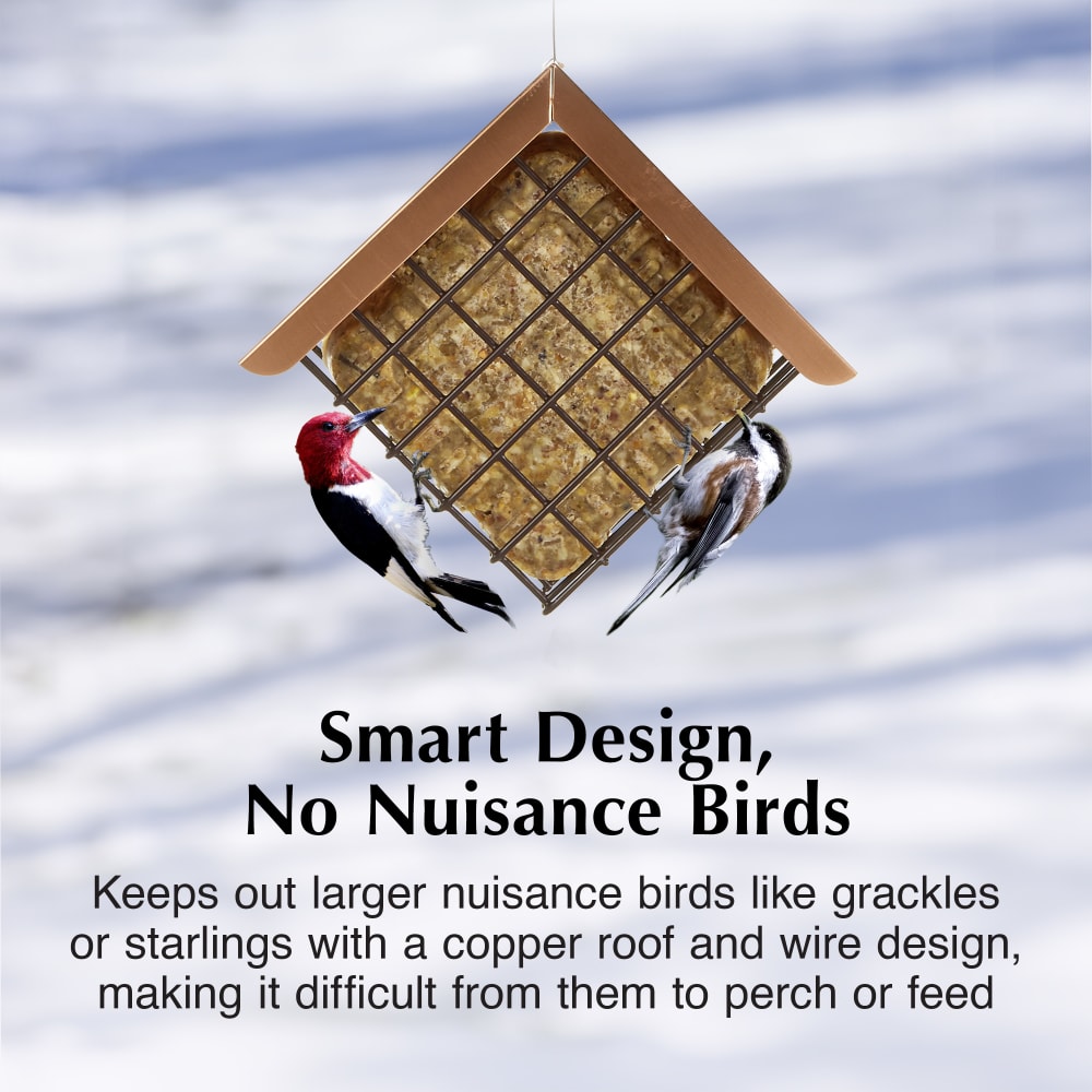 Keeps out larger nuisance birds with a copper roof and wire design