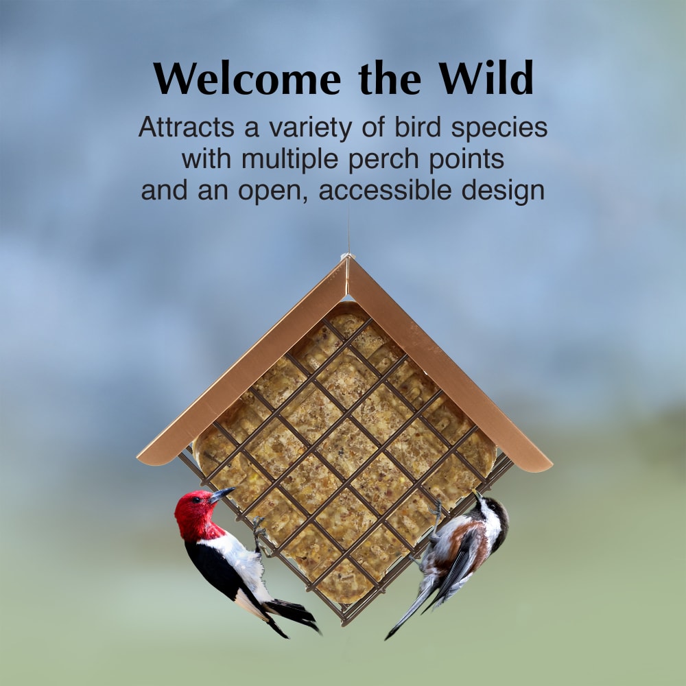 Attract a variety of bird species with multiple perch points