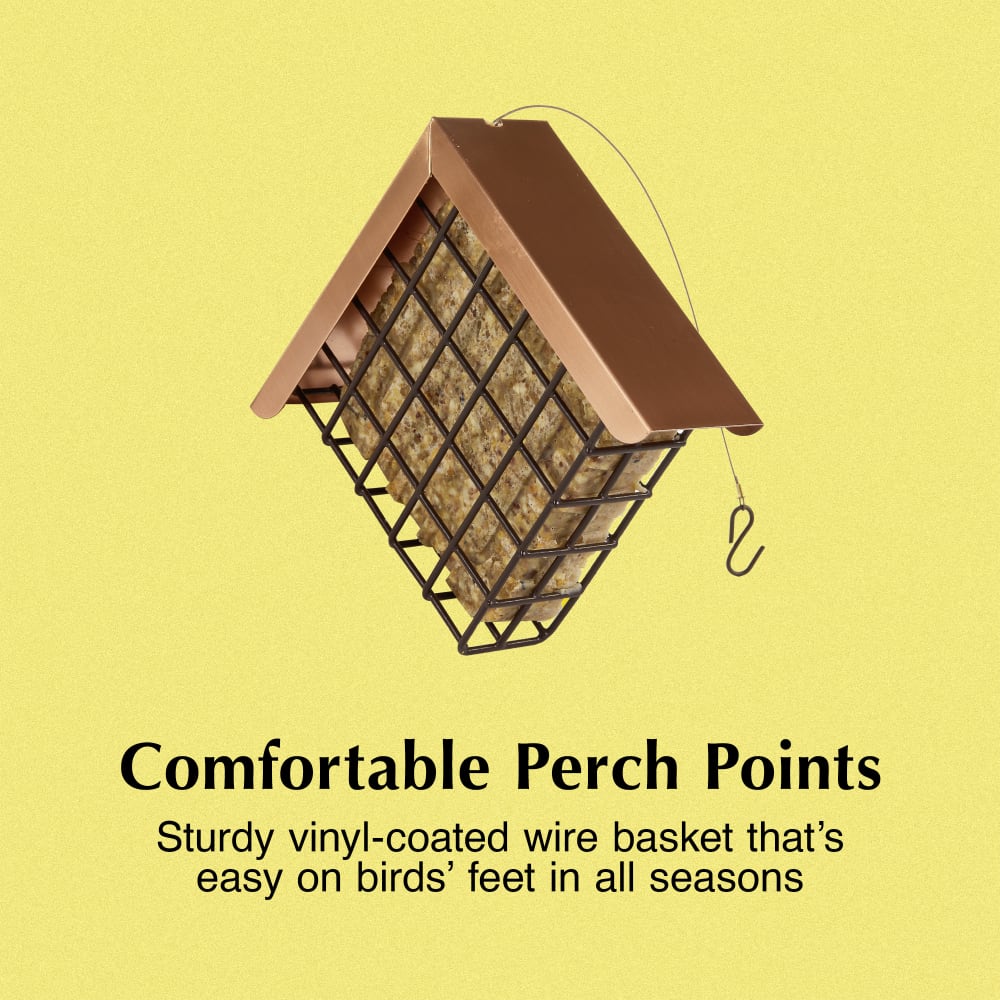 Sturdy vinyl-coated wire basket that's easy on birds