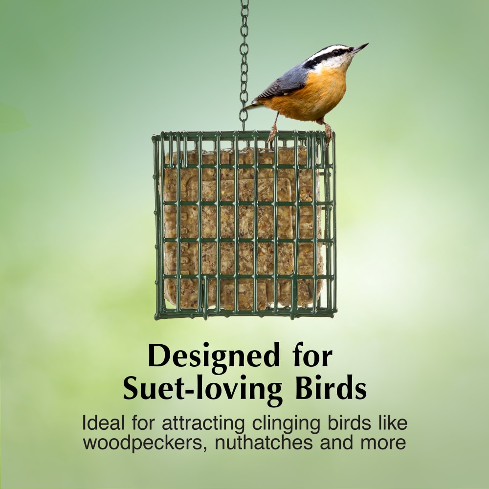 Designed for suet-loving birds like woodpeckers, nuthatches and more