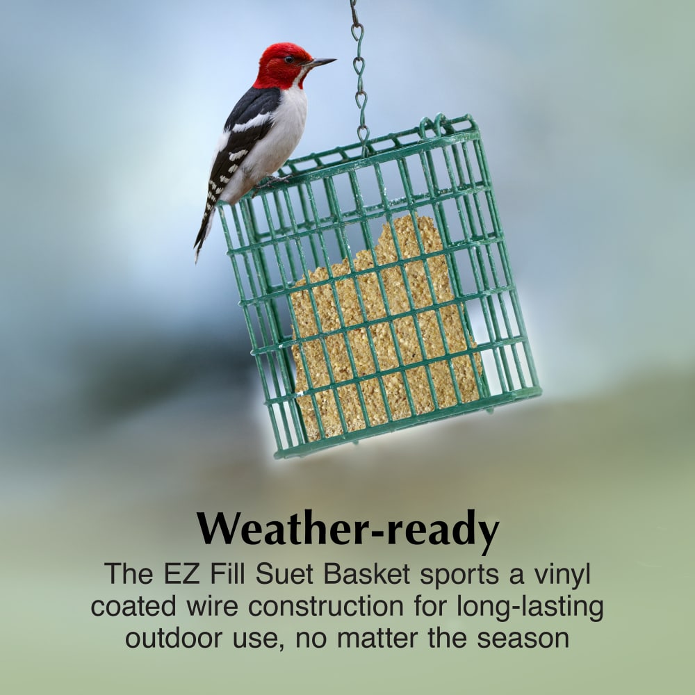 The EZ Fill Suet Basket sports a vinyl coated wire construction for long-lasting outdoor use