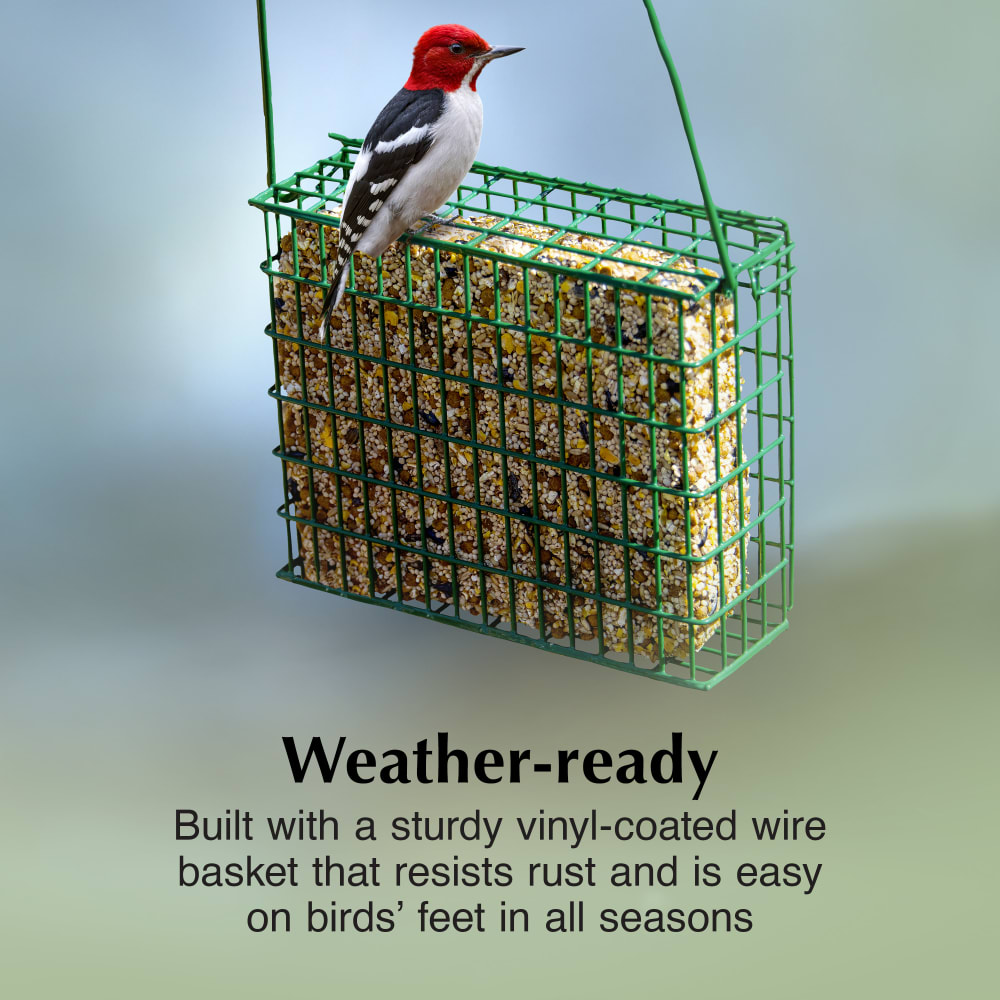 Built with a sturdy vinyl-coated wire basket that resists rust