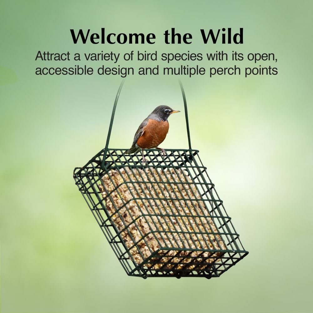 Attract a variety of bird species with accessible design