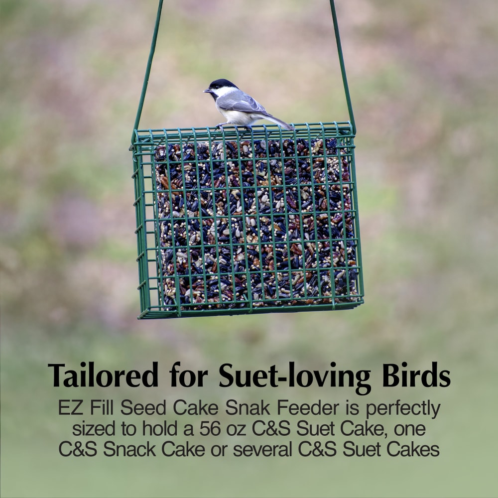 Tailored for Suet-loving birds