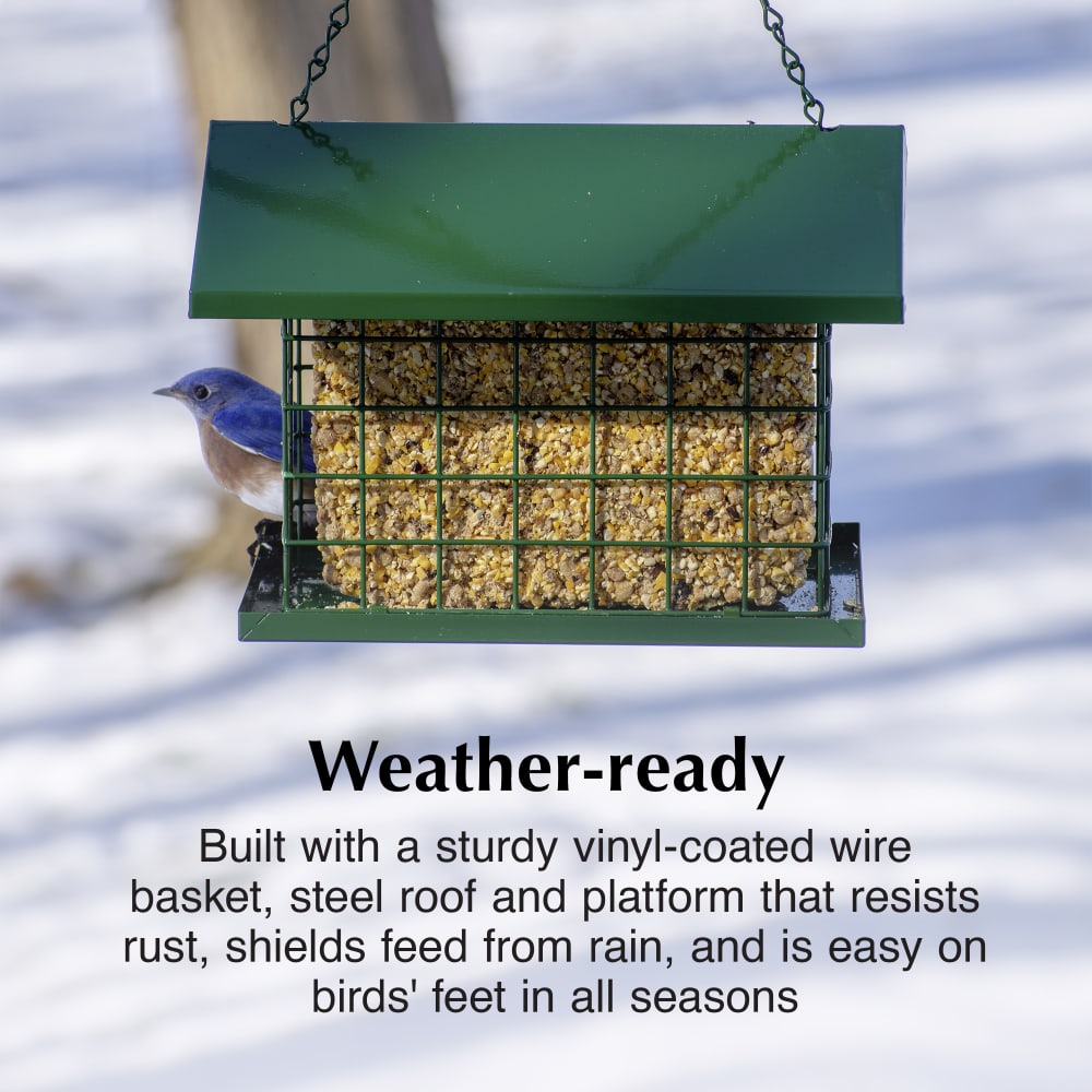Weather- ready vinyl-coated wire basket, that resists rust and shields feed from rain