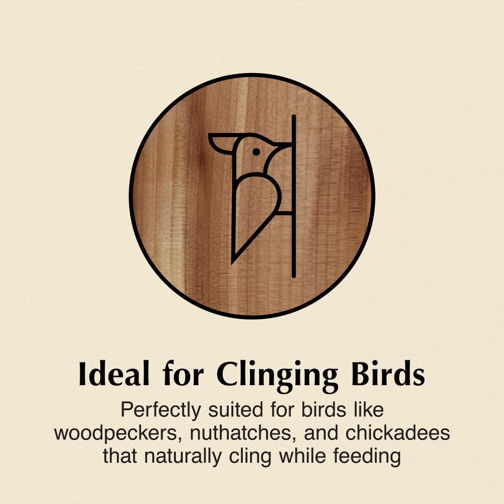 Ideal for clinging birds
