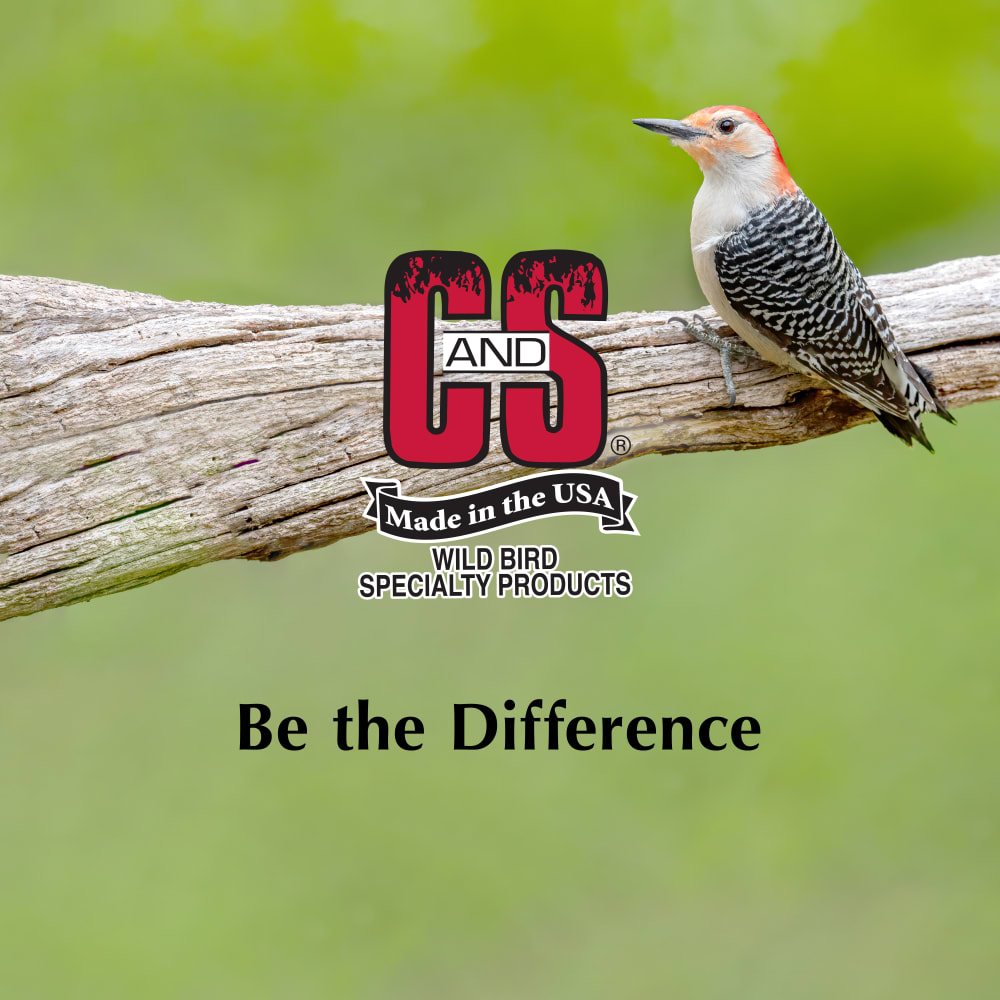 cs-24pack-suet-peanutberry-lifestyle1