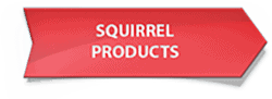 squirrelproducts